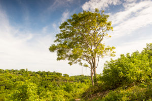the scenery of the peninsula Bukit Badung the scenery of the peninsula Bukit Badung